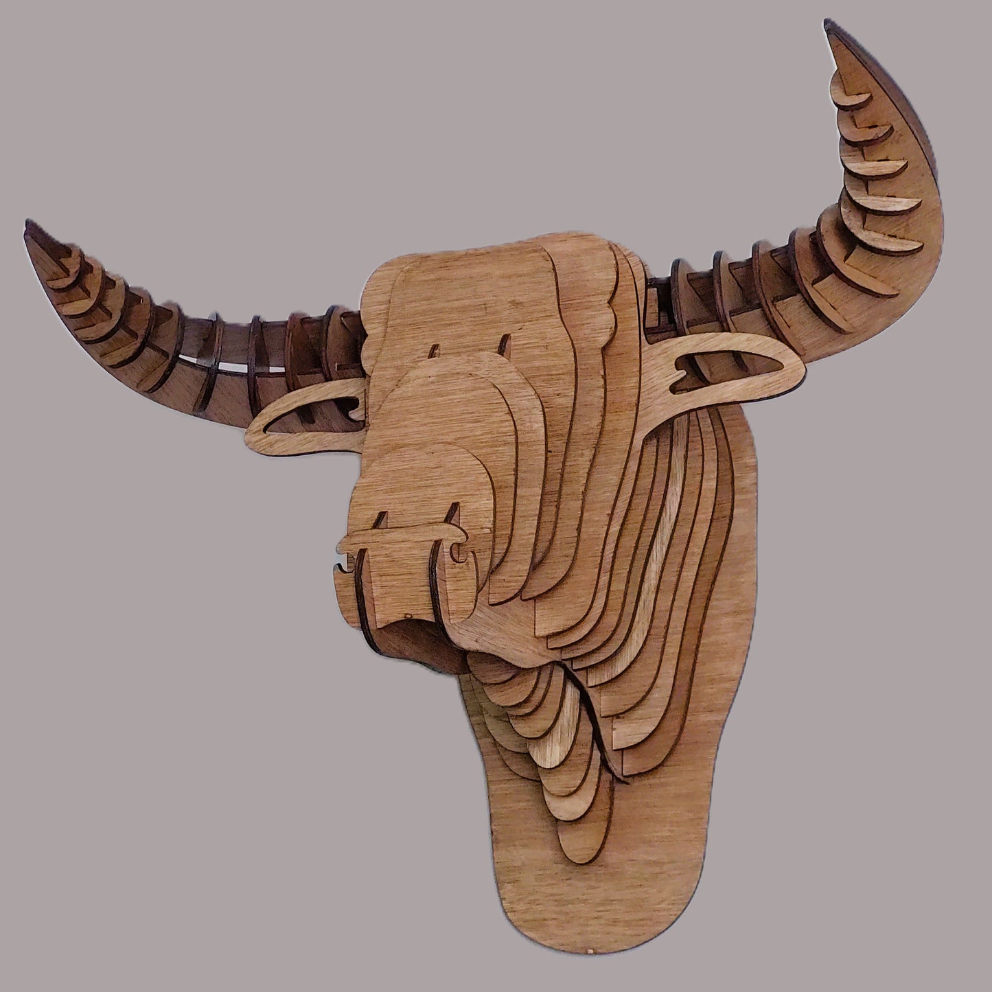tête de taureau en bois - 28 x 42 x 25cm (sur commande)