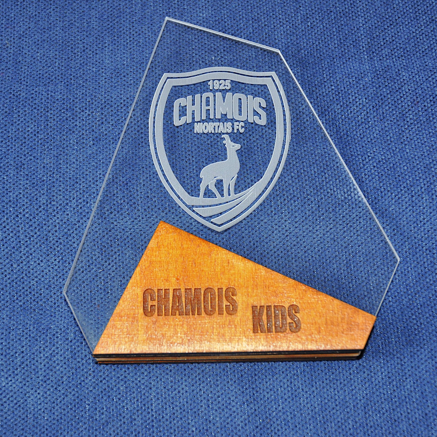 trophée plexi et bois (hauteur 17cm largeur 14 cm) - commande par le formulaire de contact