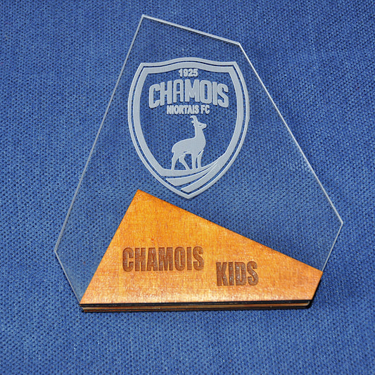 trophée plexi et bois (hauteur 17cm largeur 14 cm) - commande par le formulaire de contact