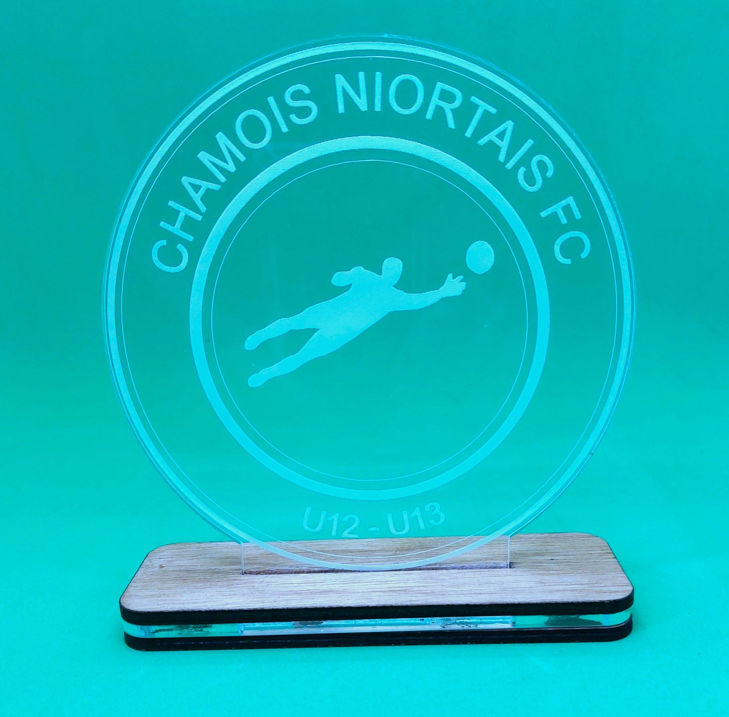 trophée plexi et bois (hauteur 17cm largeur 14 cm) - commande par le formulaire de contact